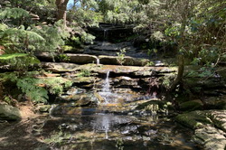 Bronte Falls