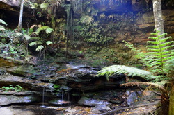 Burgess Falls