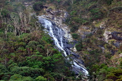 Carisbrook Falls 