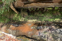 Collins Beach Waterfall