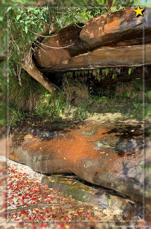 Collins Beach Waterfall