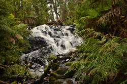 Cora Lynn Falls