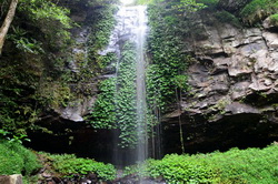 Crystal Shower Falls