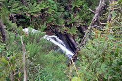 Cumberland Falls