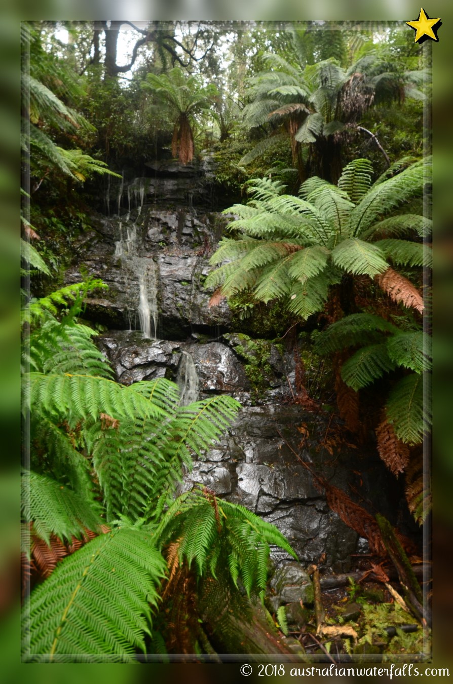 Cyathea Falls