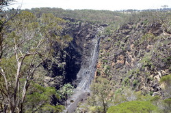 Dangars Falls