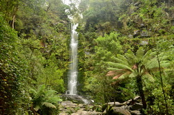 Erskine Falls 