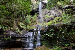 Fairy Bower Falls