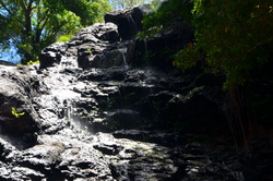 Kondalilla Falls