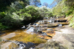 Leura Cascades