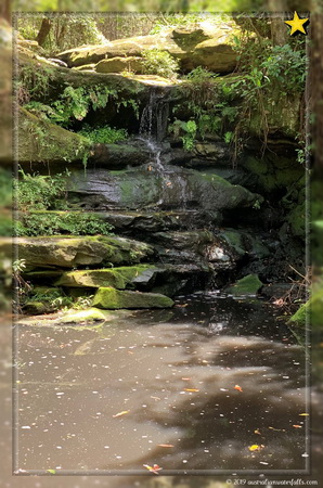 Lilly Pilly Falls