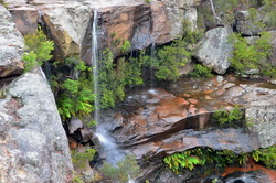 Maddens Falls