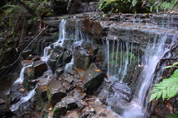 Marguerite Cascades