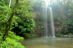 Millaa Millaa Falls