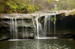 Nellies Glen Falls