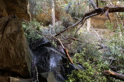 Oaklands Falls