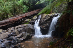 Olinda Falls