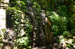 Paradise Falls