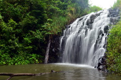 Pepina Falls