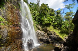 Red Cedar Falls