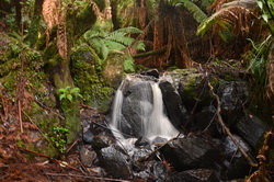 Sherbrooke Falls