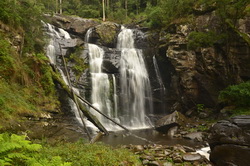 Stevensons Falls 