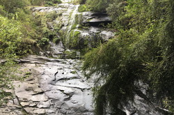 Straw Falls 