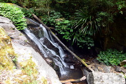 Toolona Creek Cascades