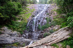 Tristania Falls