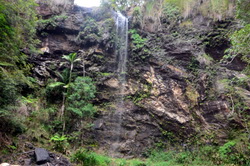 Twin Falls